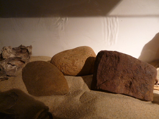 Grinding stones from Parramatta